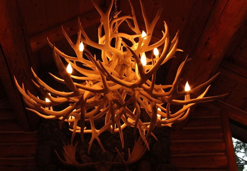 Antler Chandeliers